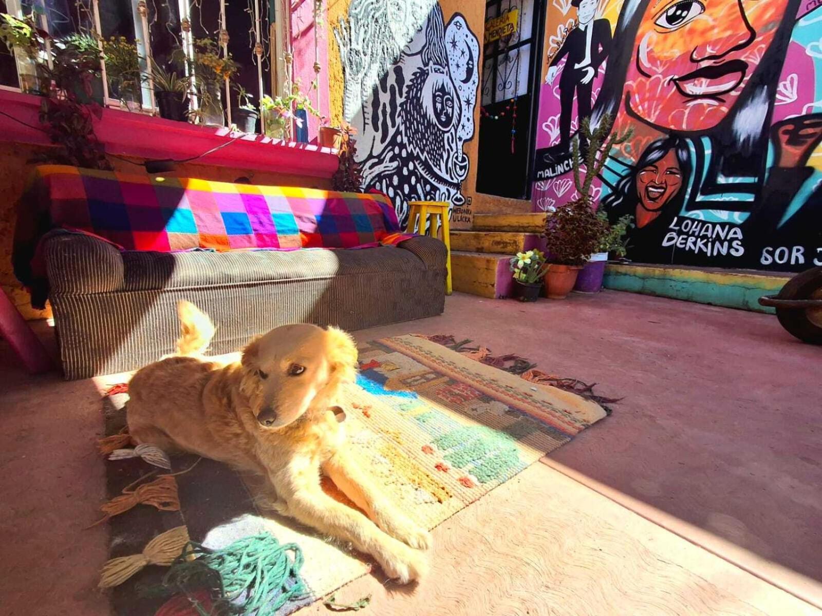 Historika Hostel Cultural San Cristóbal de Las Casas Kültér fotó